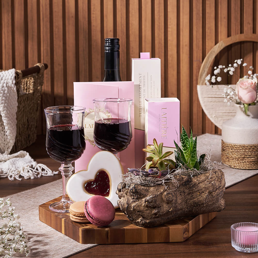 Fairbank Wine & Succulent Garden Gift, wine gift, wine, plant gift, plant, gourmet gift, gourmet, chocolate gift, chocolate, mothers day gift, mothers day, Toronto delivery