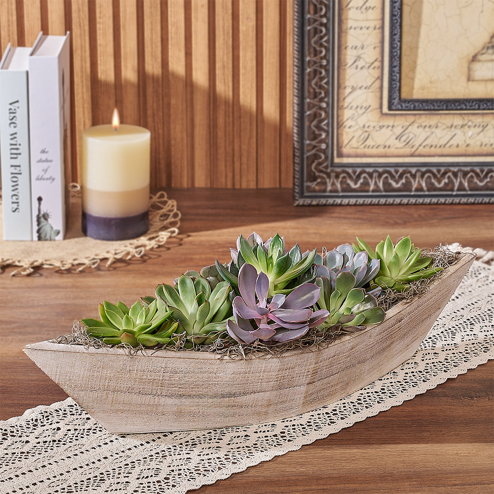 Moss Park Succulent Boat Garden, plant gift, plant, succulent gift, succulent, Toronto delivery