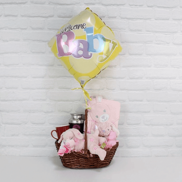 Gift basket for newborn baby girl hot sale