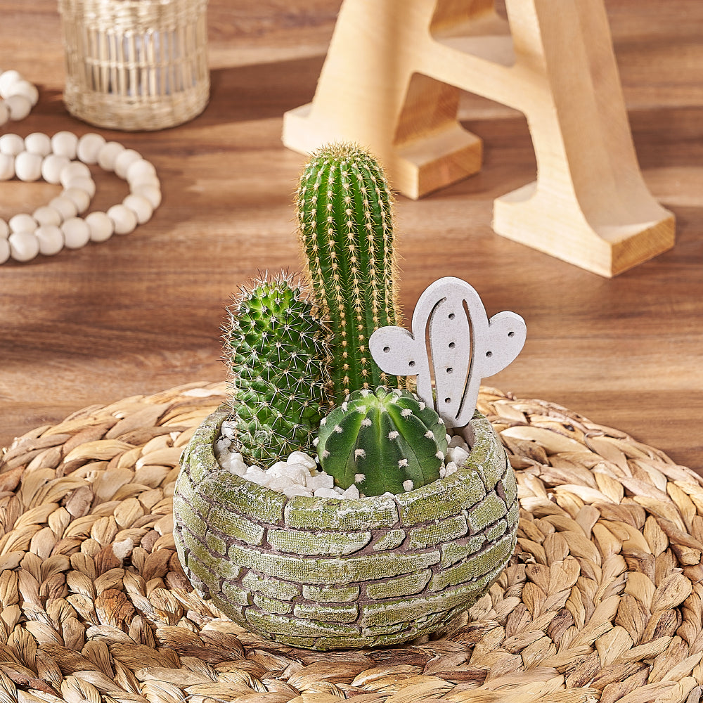 Assorted Cactus Plant Trio with Brick Patterned Planter – how the gift is presented