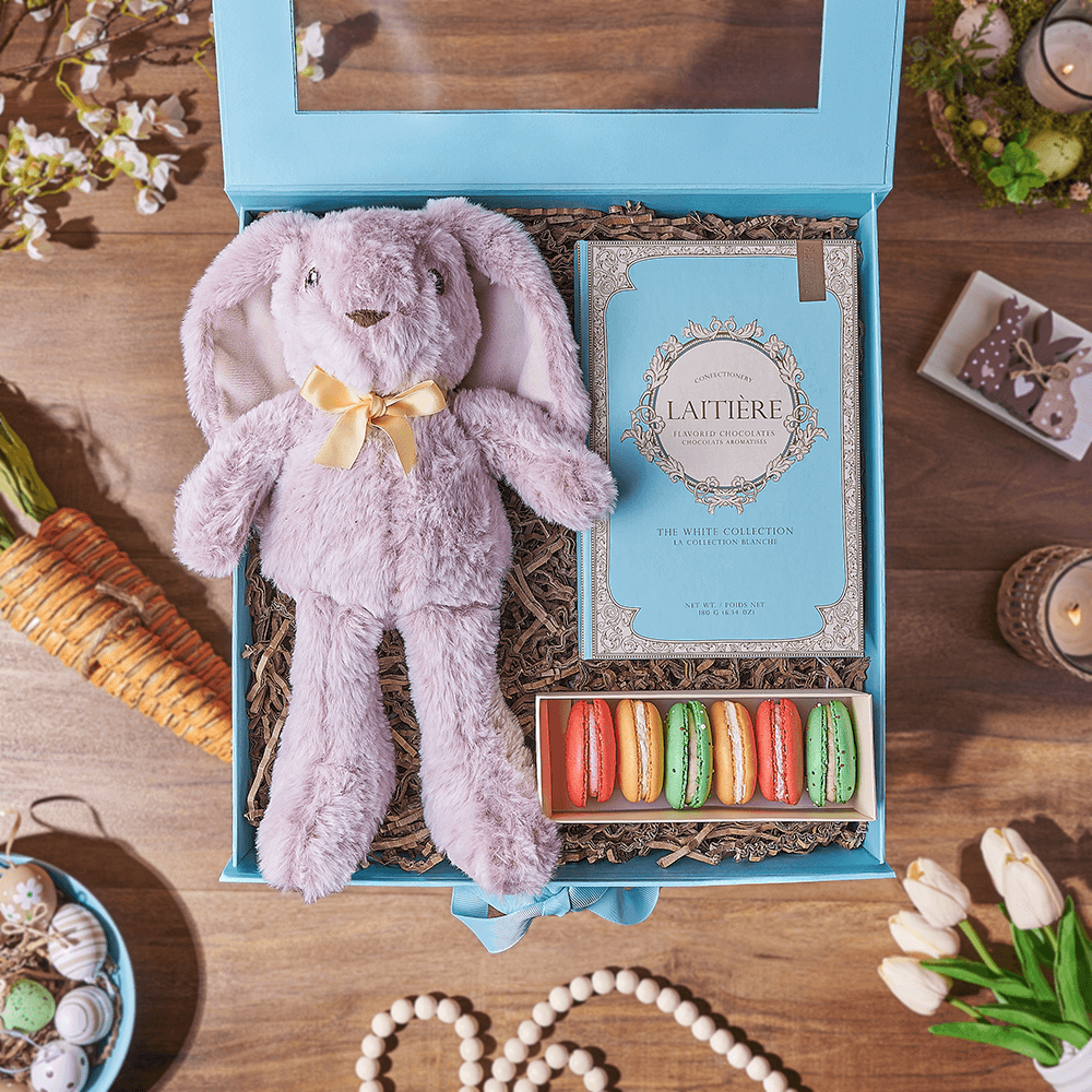 Easter Gourmet Macarons and Chocolate Gift Box with Plush Bunny – how the gift is presented