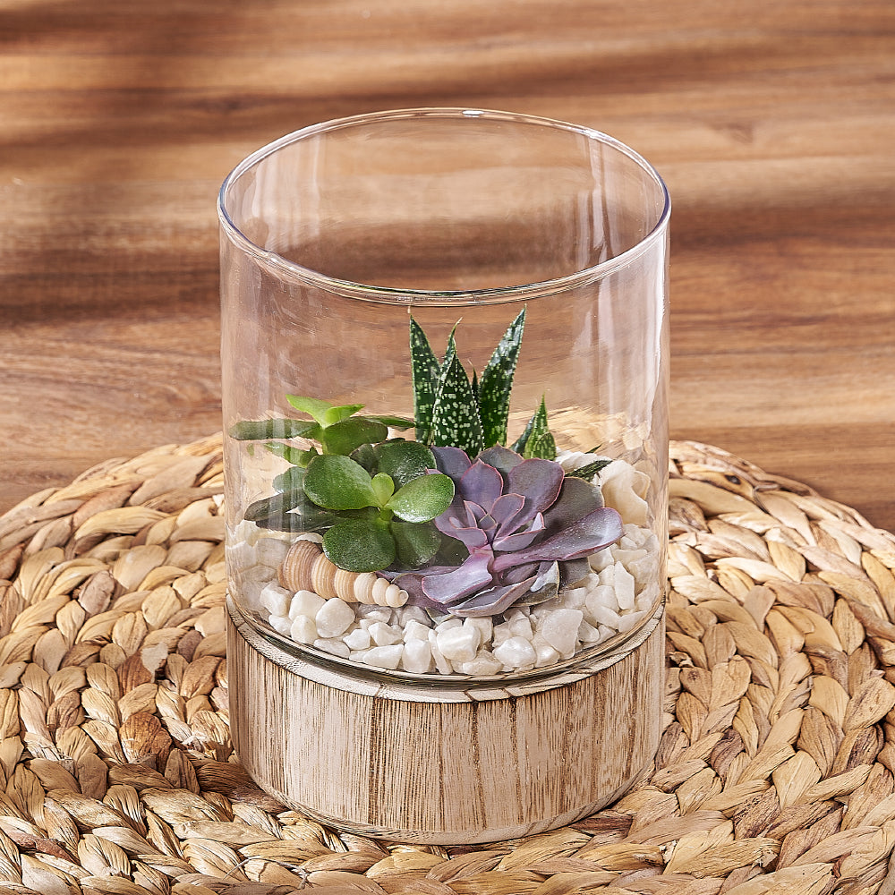 Succulent Garden Terrarium – how the gift is presented