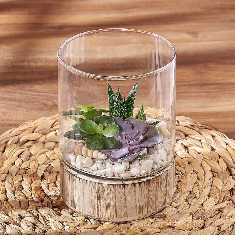 Succulent Garden Terrarium, plant gift, plant, succulent gift, succulent, Toronto delivery