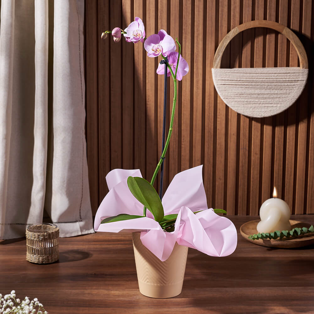 Purple Bloom Orchid in Ceramic – how the gift is presented