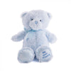 Blue Best Friend Baby Plush Bear from Toronto Basket - Toronto Basket Delivery