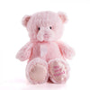 Pink Best Friend Baby Plush Bear from - Toronto Baskets - Toronto Delivery