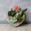 Rock Garden Succulents of Love from Toronto Baskets - Plant Gifts - Toronto Delivery.