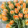 Seasonal Flowers of The Month from Toronto Baskets - Toronto Delivery