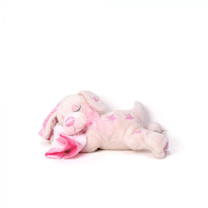Welcome Newborn Baby Girl Gift Basket from Toronto Baskets - Baby Gift Basket - Toronto Delivery.